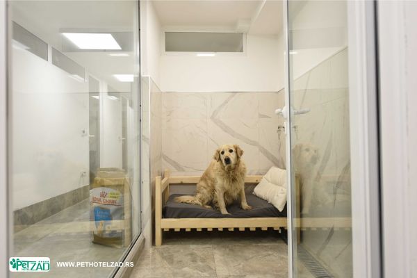 hotel-za-pse-cena-boravka689B47AD-E132-E90E-C567-DABEE66F878A.jpg